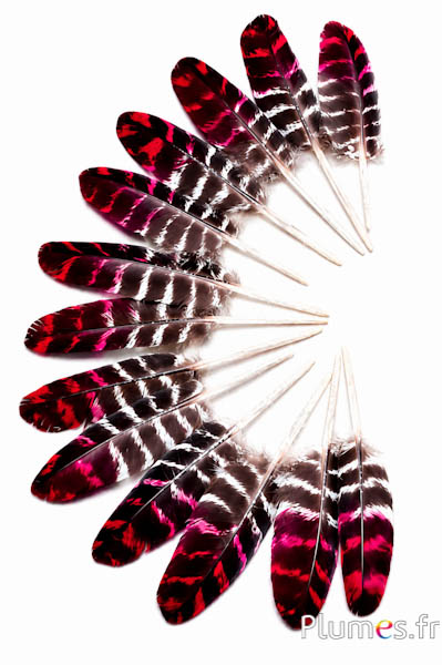 Tacchino - 10-15 cm - naturale-rosso